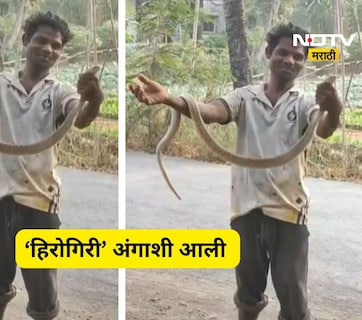 Virar News: साप पकडला, गळ्यात घातला, स्टंट करण्याच्या नादात जीव गेला, अंगावर काटा आणणारा Video