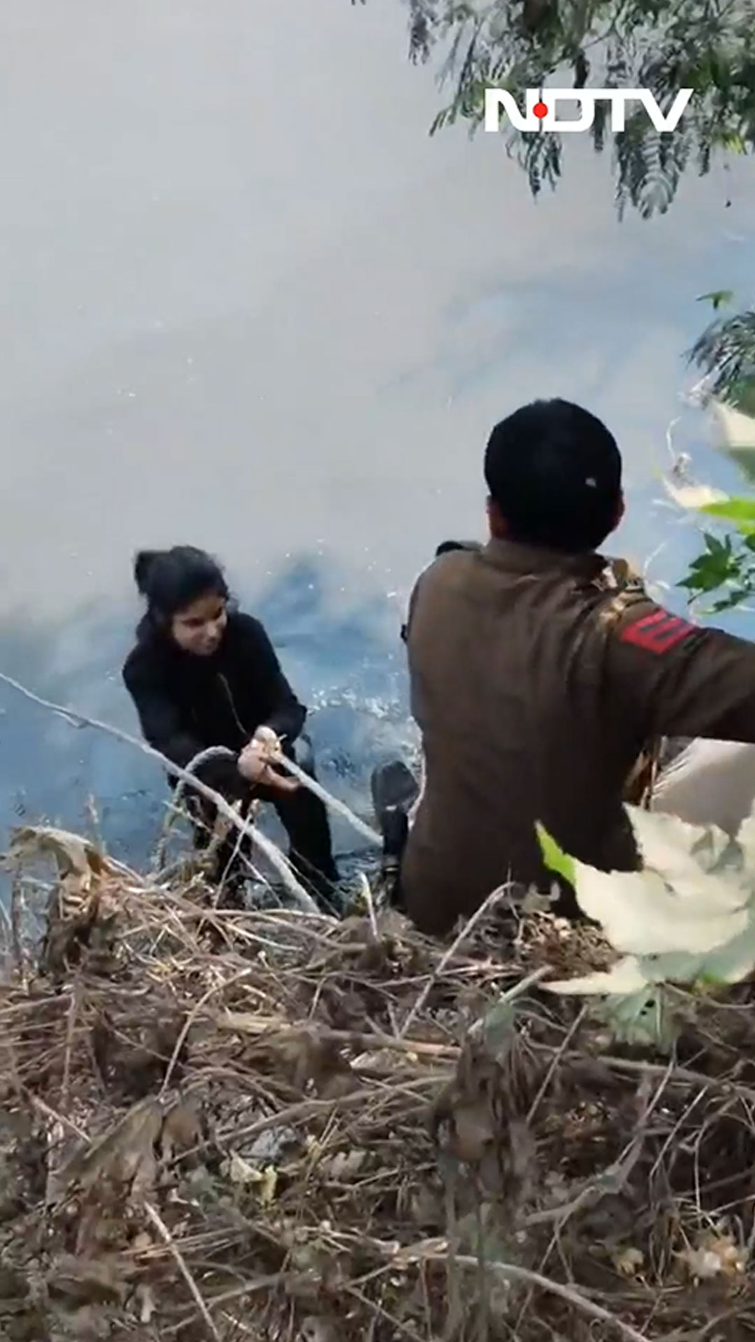 Not The Reel She Planned: On Camera, Police Pull Woman Out After