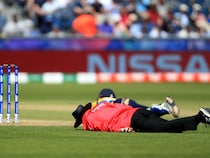 Umpire Dies After Bee Attack During Cricket Match In UP