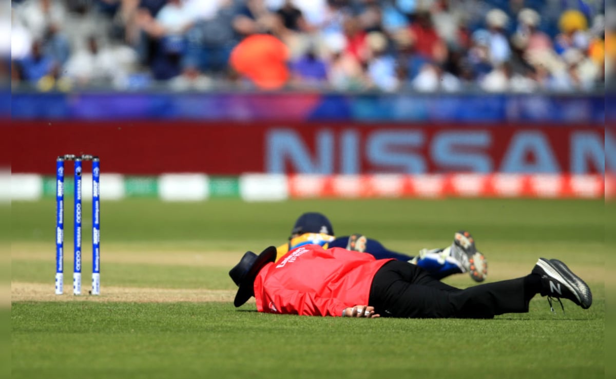 यूपी में क्रिकेट मैच के दौरान मधुमक्खियों के हमले से अंपायर की मौत