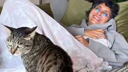 Kiran Rao Down With Chikungunya, Says Can't Hold A Book Up: How Does The Viral Disease Impact Joint Health?