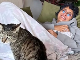 Kiran Rao Down With Chikungunya, Says Can't Hold A Book Up: How Does The Viral Disease Impact Joint Health?