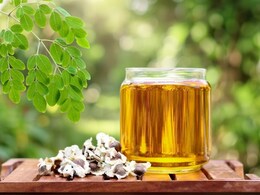 मोरिंगा ऑयल : प्रदूषण और धूप से खराब स्किन पर असरदार, दाग-धब्बों को भी करें दूर&nbsp;