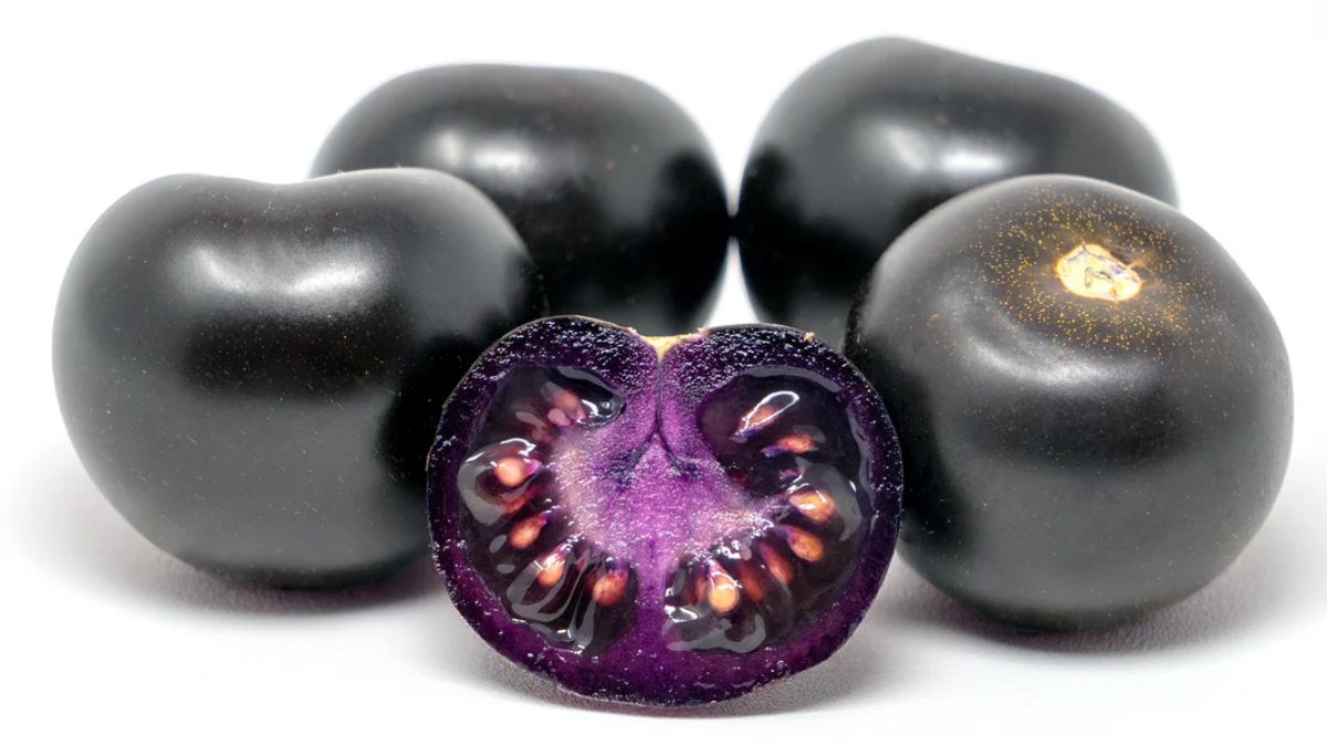 Australia Okays Purple Tomatoes For Sale. What Exactly Are They?