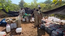 1,800 Litres Of Hash Oil Worth Rs 200 Crores, 2,000 Kg Ganja Seized In Odisha