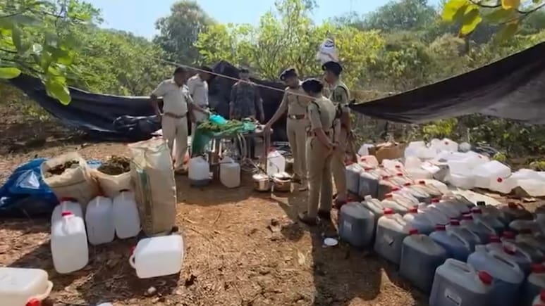 1,800 Litres Of Hash Oil Worth Rs 200 Crores, 2,000 Kg Ganja Seized In Odisha