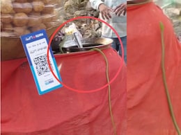 Shocking Video: बापरे! पाणीपुरीच्या ठेल्यावर निघाला साप,  ग्राहकांची उडाली तारांबळ