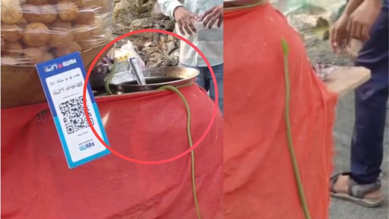 Shocking Video: बापरे! पाणीपुरीच्या ठेल्यावर निघाला साप,  ग्राहकांची उडाली तारांबळ