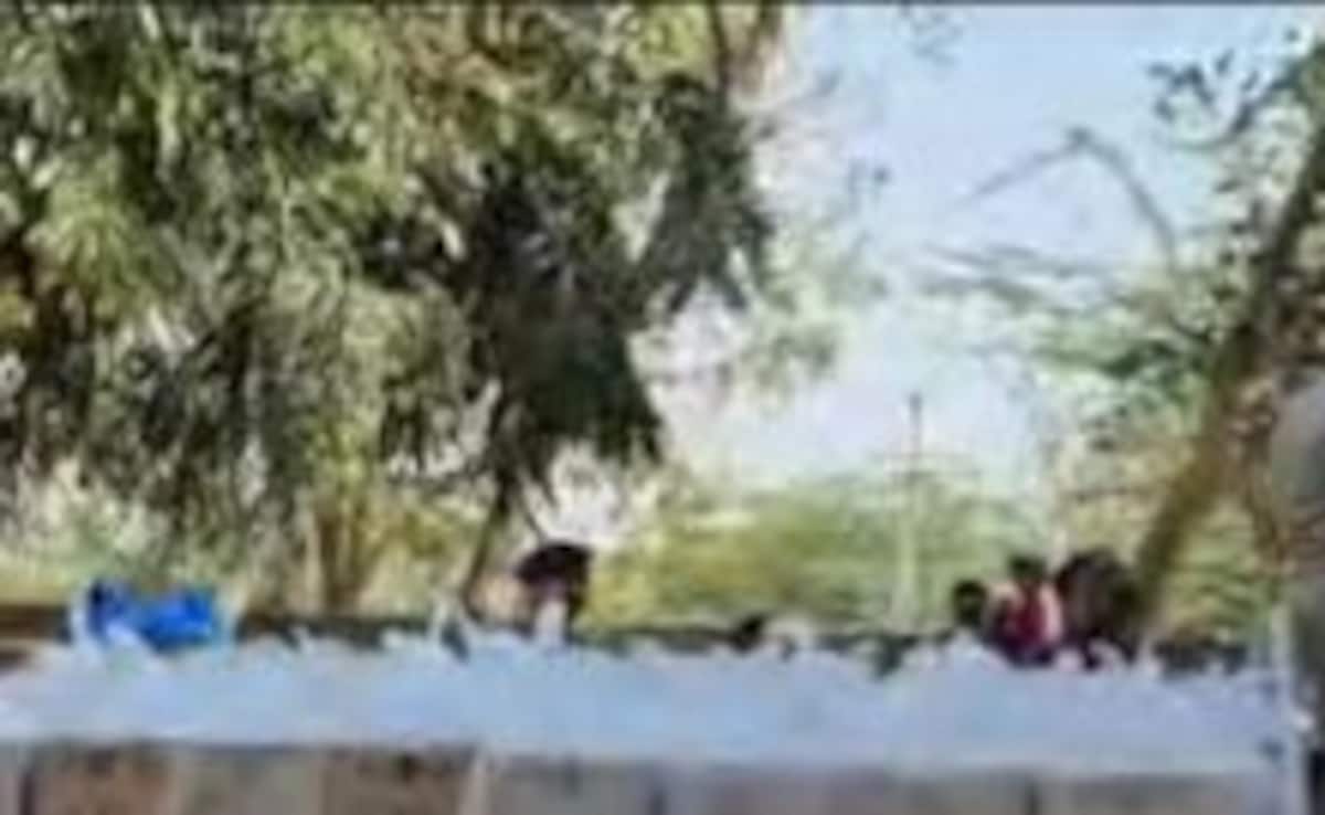 The Art of Baking: From Classic Bread to Artisan Pastries