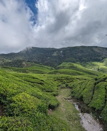 What's The Highest Peak In South India