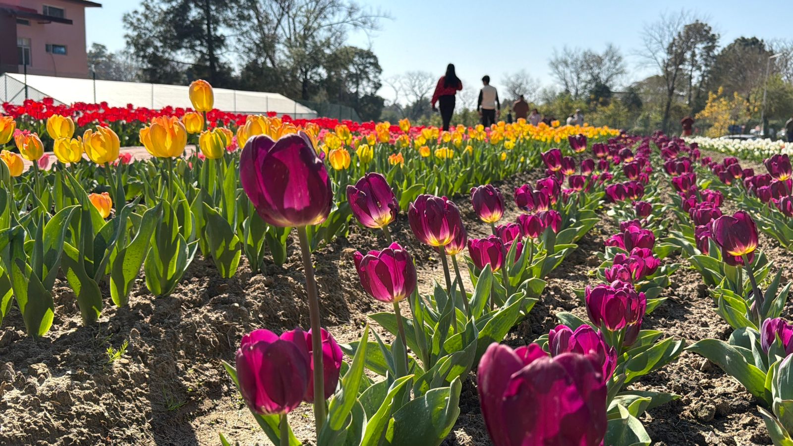 Latest and Breaking News on NDTV