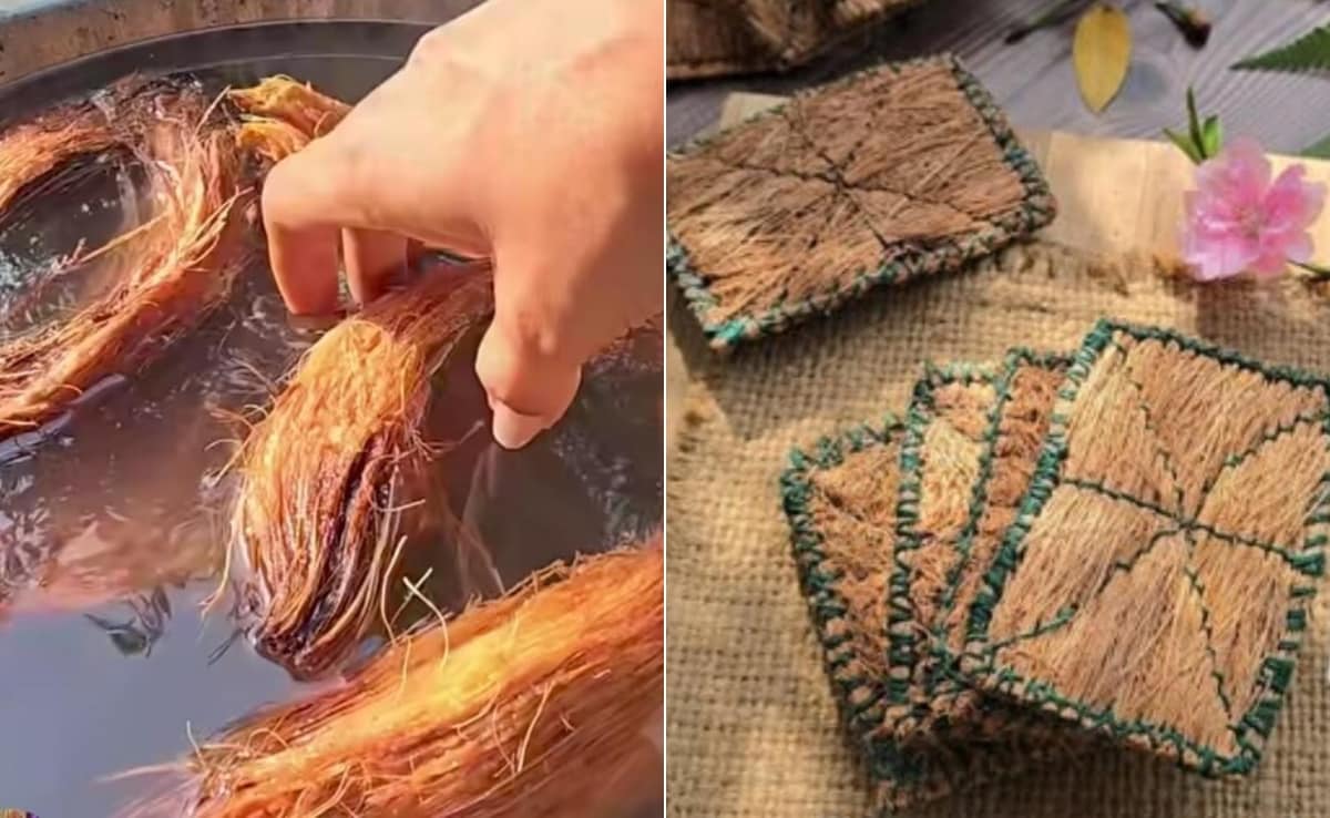 नारियल के छिलकों को बेकार समझ कर न फेंके, इस तरह इस्तेमाल कर बनाएं बाजार जैसा स्क्रबर