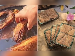 नारियल के छिलकों को बेकार समझ कर न फेंके, इस तरह इस्तेमाल कर बनाएं बाजार जैसा स्क्रबर