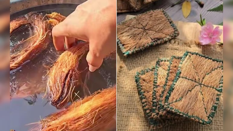 नारियल के छिलकों को बेकार समझ कर न फेंके, इस तरह इस्तेमाल कर बनाएं बाजार जैसा स्क्रबर