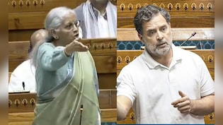 On Rahul Gandhi's "Sold Bharat Mata" Charge, N Sitharaman's Sharm el Sheikh Jab
