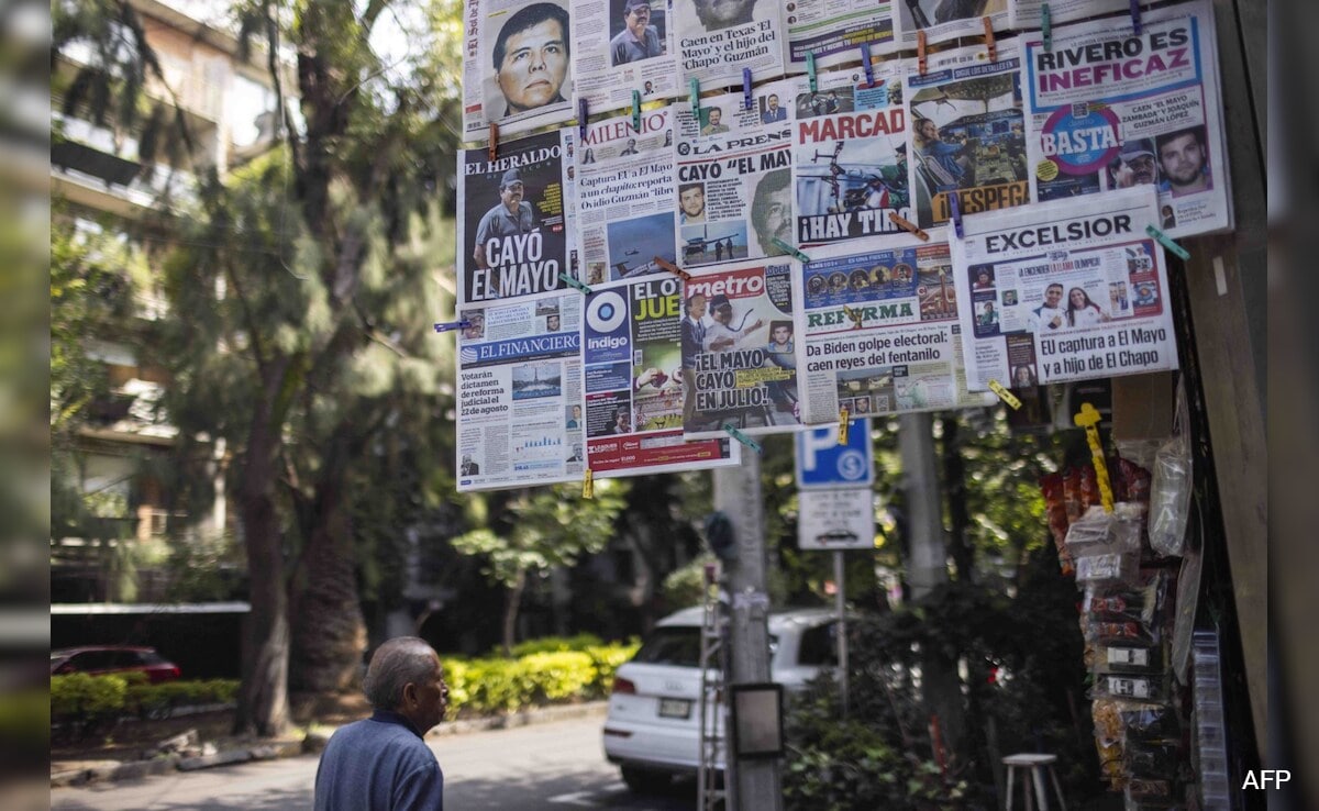 The Art of Baking: From Classic Bread to Artisan Pastries