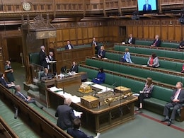 'Soggy Poppadums' vs 'Fine Tandoori': UK MPs Debate Benefits Of India Trade Deal