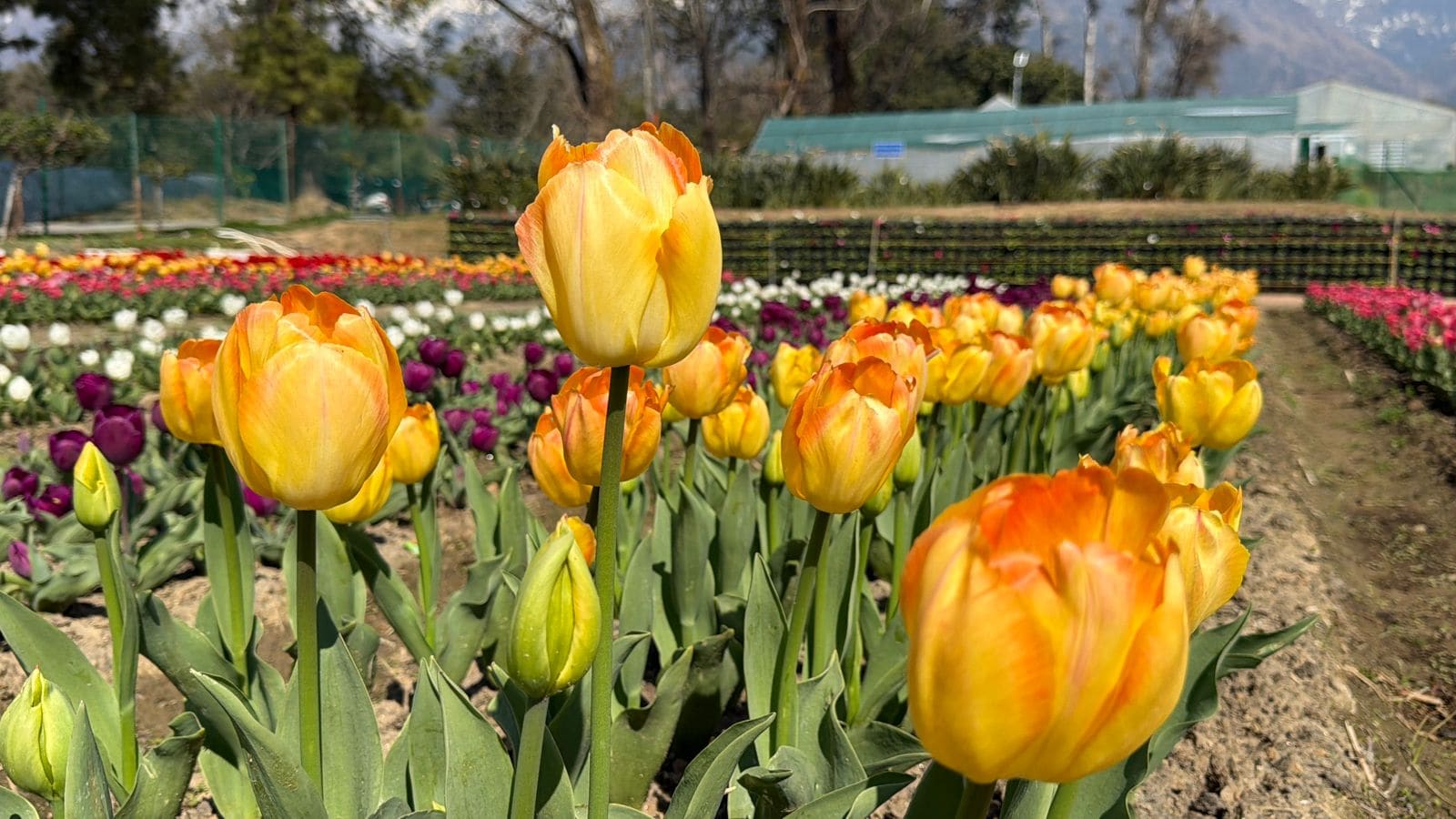 Latest and Breaking News on NDTV