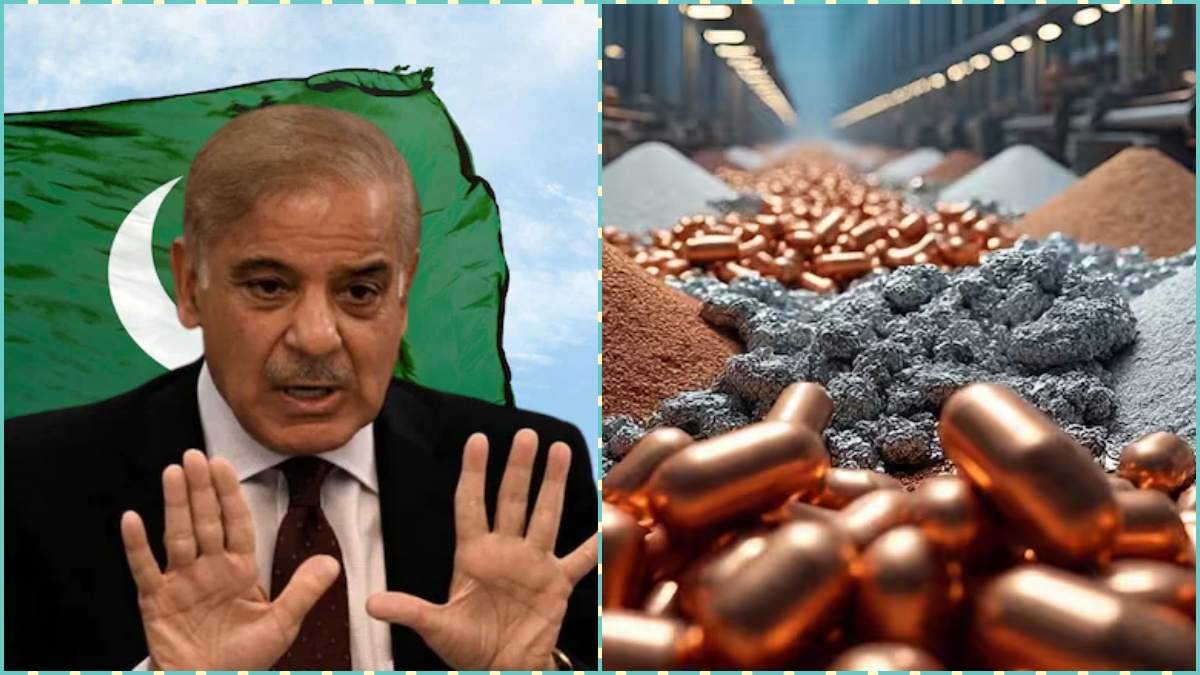 गिलगित-बाल्टिस्तान के रेयर अर्थ मिनिरल्स पर पाक की बुरी नजर, ऐसे फायदा उठाने की कोशिश