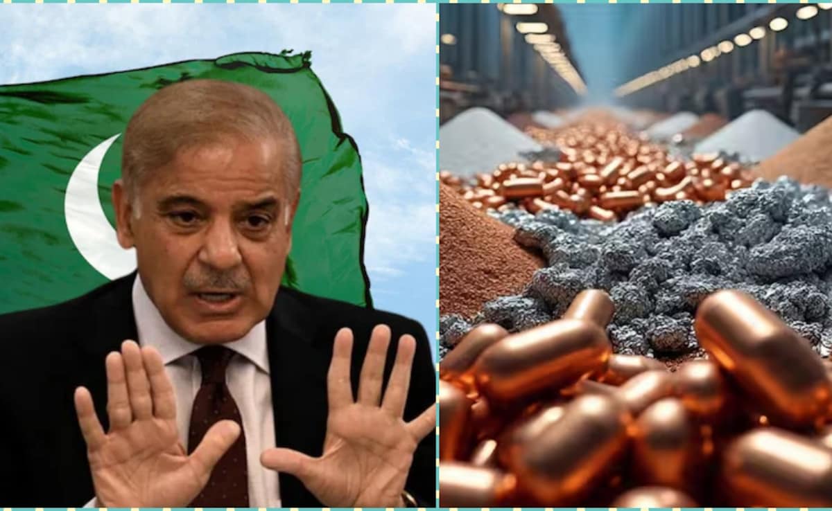 गिलगित-बाल्टिस्तान के रेयर अर्थ मिनिरल्स पर पाक की बुरी नजर, ऐसे फायदा उठाने की कोशिश