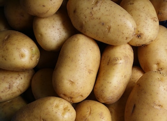 What Is The Best Way To Eat Potatoes? Expert Answers