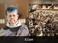 Singapore Woman Fined Rs 2 Lakh For One Bad Habit. Here's Why