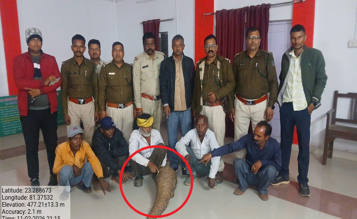 Wildlife Smuggling: शहडोल में वन्यजीव तस्करी पर कार्रवाई; 9 जिलों से 22 आरोपी गिरफ्तार, पैंगोलिन समेत ये मिला