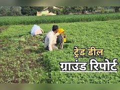 'सोयाबीन के कटोरे'में अमेरिकी सेंध? भारत-अमेरिका ट्रेड डील की बारीकियों में उलझा मध्य प्रदेश का अन्नदाता