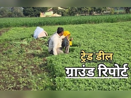 'सोयाबीन के कटोरे'में अमेरिकी सेंध? भारत-अमेरिका ट्रेड डील की बारीकियों में उलझा मध्य प्रदेश का अन्नदाता