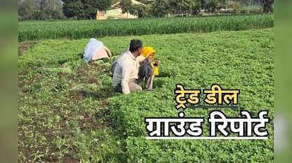 'सोयाबीन के कटोरे'में अमेरिकी सेंध? भारत-अमेरिका ट्रेड डील की बारीकियों में उलझा मध्य प्रदेश का अन्नदाता