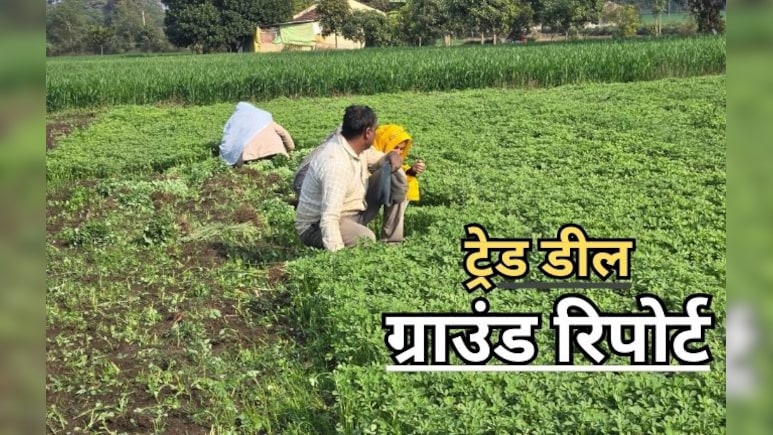 'सोयाबीन के कटोरे'में अमेरिकी सेंध? भारत-अमेरिका ट्रेड डील की बारीकियों में उलझा मध्य प्रदेश का अन्नदाता