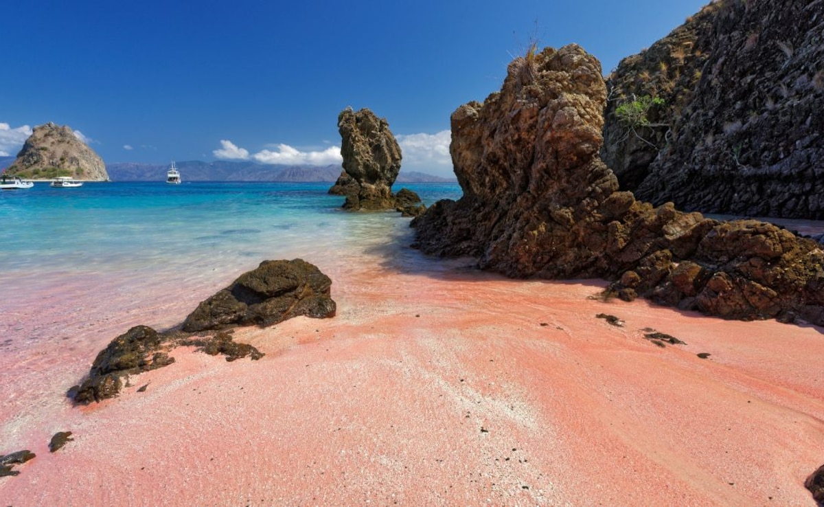 Latest and Breaking News on NDTV