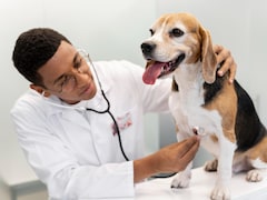 Recent Dog Lick-Sepsis Case Shows Why Pet Vaccines, Screenings Matter