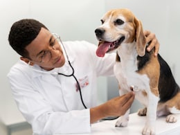Recent Sepsis From A Dog Lick Case Is Not Isolated: Why Regular Screening and Vaccines Matter For Your Pet's Health