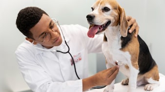 Recent Dog Lick-Sepsis Case Shows Why Pet Vaccines, Screenings Matter