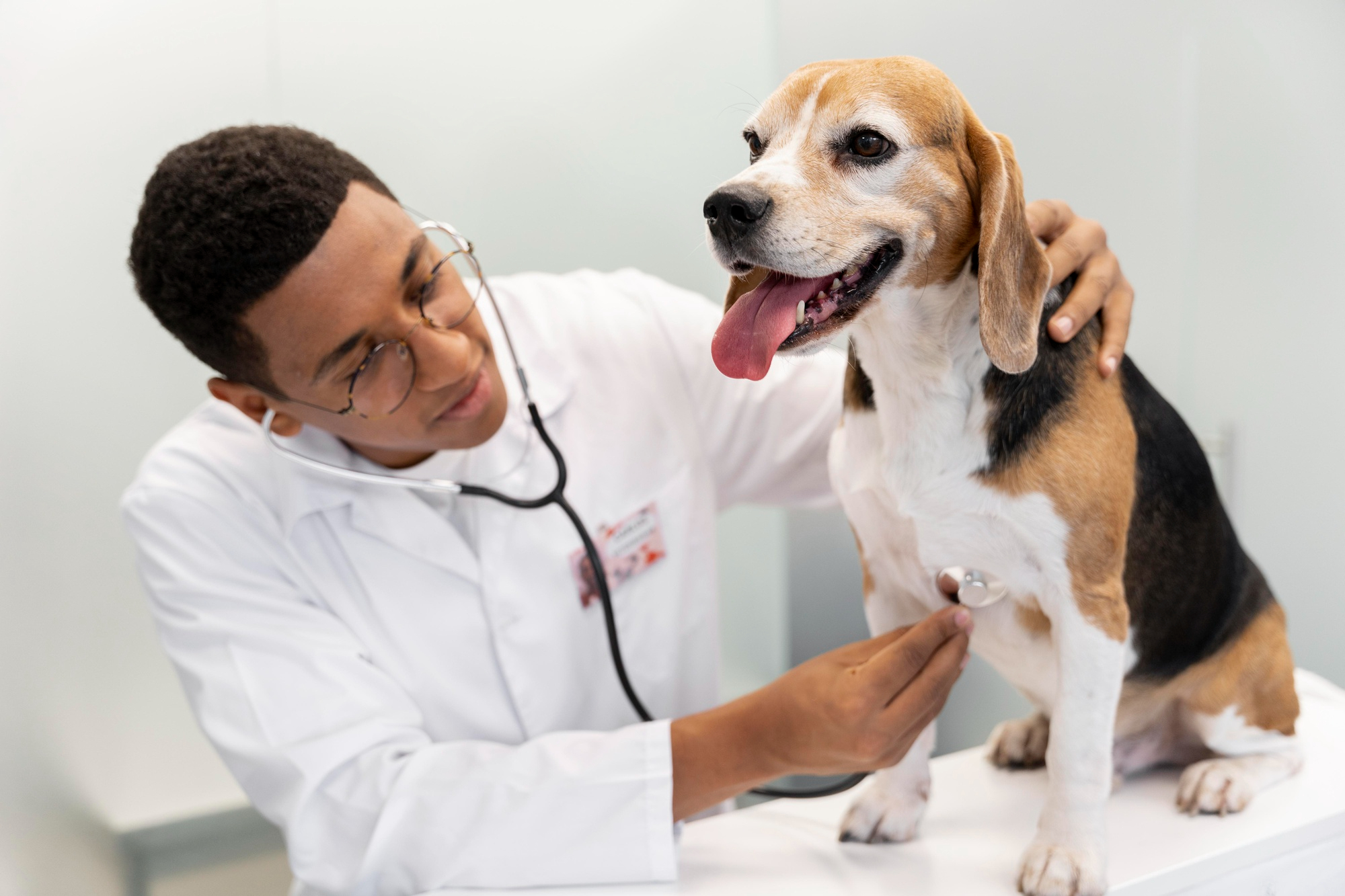Your pet's health depends on your ability go for regular screenings and vaccinations