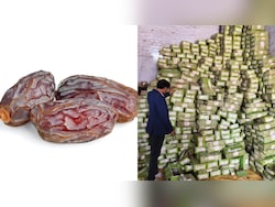 10,000 Kg Dates Had Use-By Date In 2023, Trader Planned To Sell Them Again