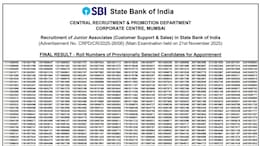 SBI Clerk Mains Result 2026 Out, Here Is Direct Link To Check Merit List