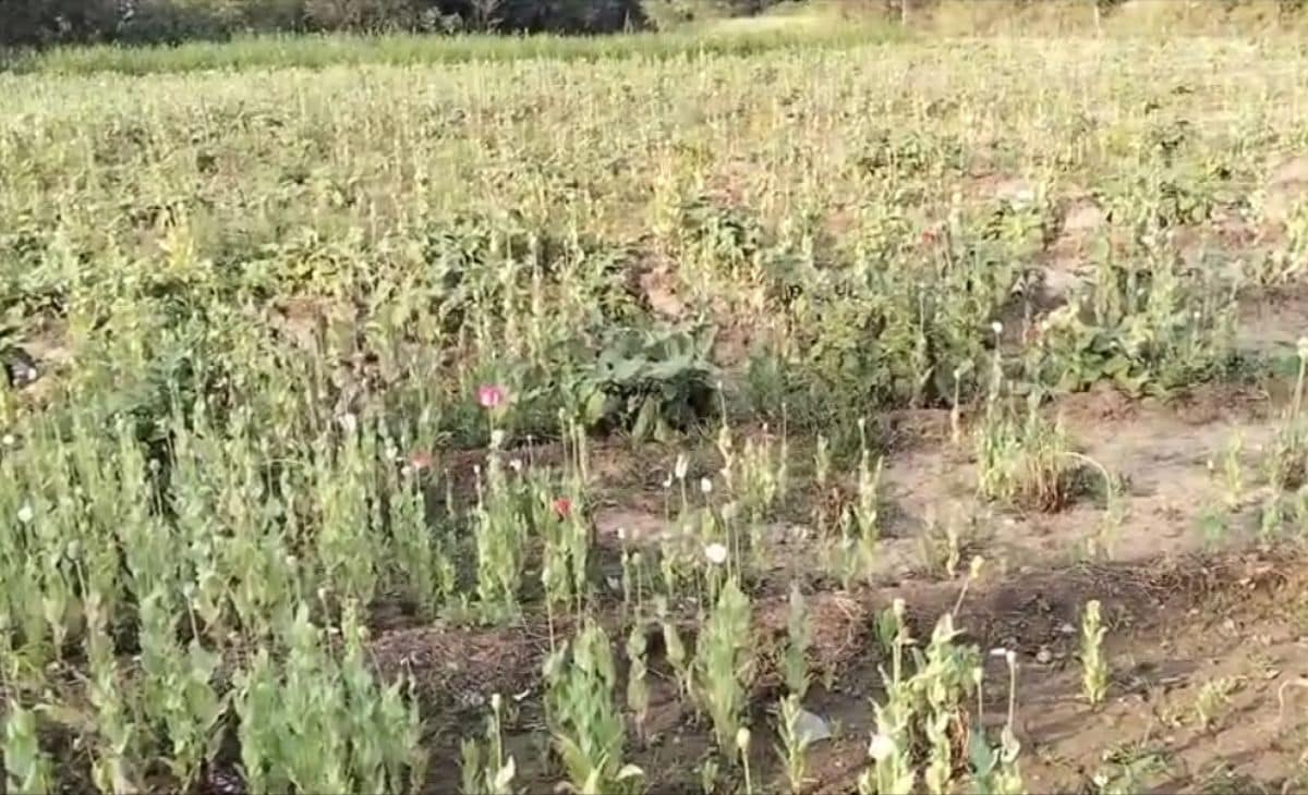 Latest and Breaking News on NDTV Latest and Breaking News on NDTV