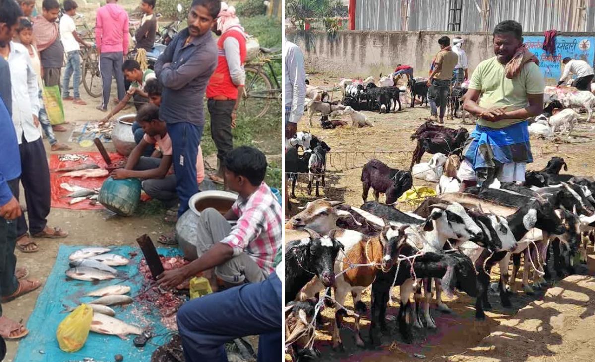 बिहार में खुले में मांस-मछली की बिक्री पर रोक कितना कारगर? जल्दबाजी का फैसला ना बन जाए फांस