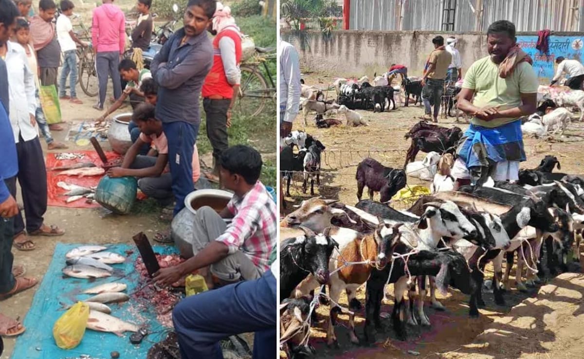 बिहार में खुले में मांस-मछली की बिक्री पर रोक कितनी कारगर? जल्दबाजी का फैसला ना बन जाए फांस