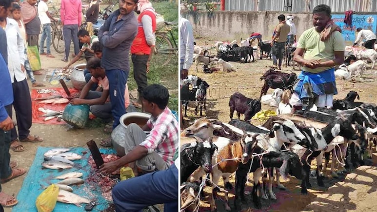 बिहार में खुले में मांस-मछली की बिक्री पर रोक कितनी कारगर? जल्दबाजी का फैसला ना बन जाए फांस