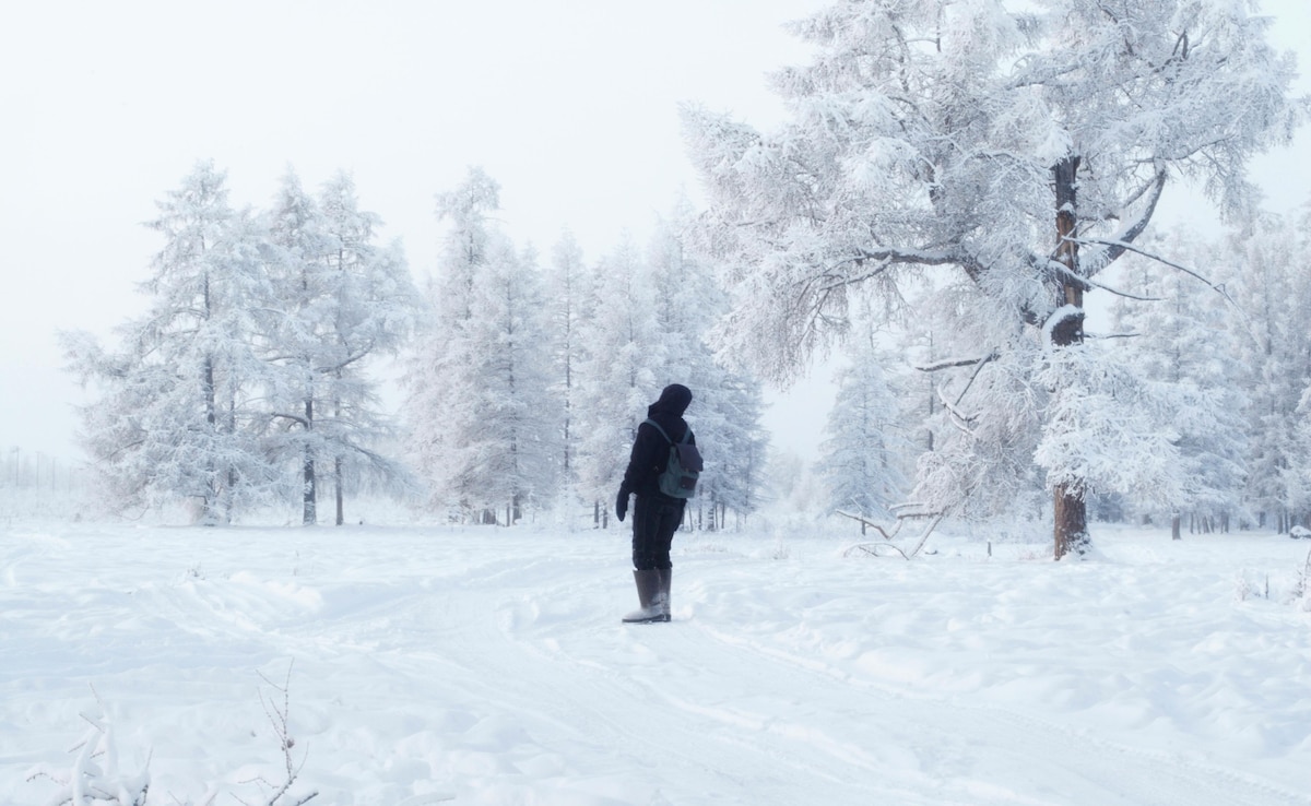 Latest and Breaking News on NDTV