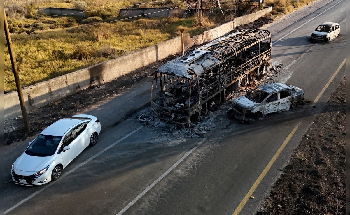 Mexico Cartel Leader Killed LIVE: Indian Embassy Issues Advisory For Citizens In Mexico After Killing Of Drug Lord 'El Mencho'