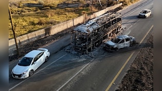 Mexico Cartel Leader Killed LIVE: Indian Embassy Issues Advisory For Citizens In Mexico After Killing Of Drug Lord 'El Mencho'