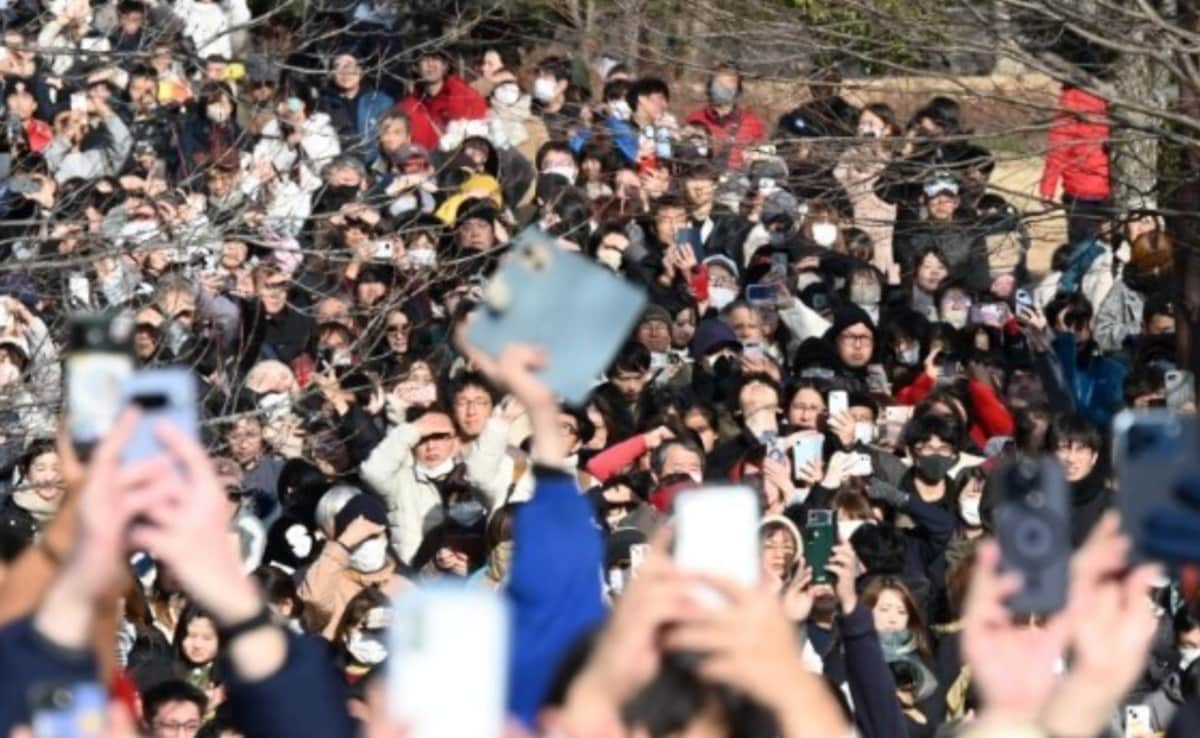 Latest and Breaking News on NDTV