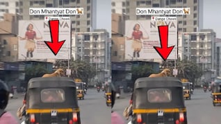 Pune News :  "डॉन म्हणतात डॉन..", पुण्यात आला नवा VIP,  डांगे चौकात रिक्षाचा पाठलाग करून बनवला व्हिडीओ