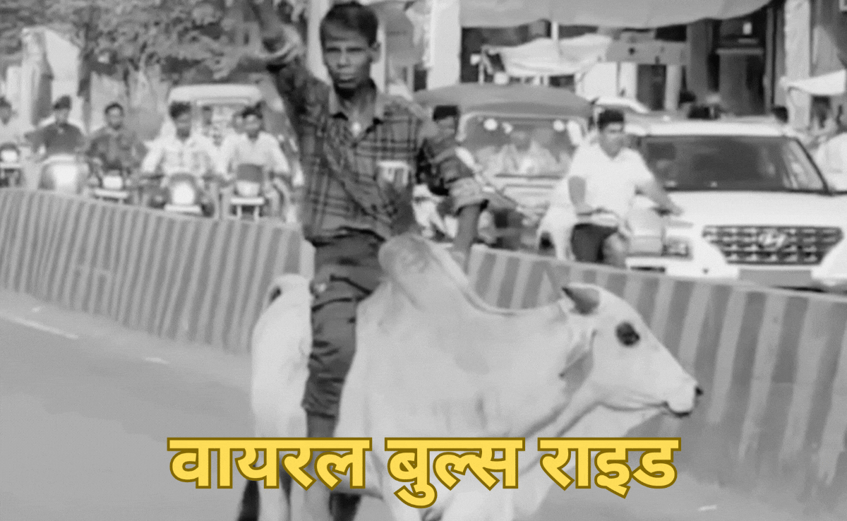 VIDEO: नशे में धुत्त शख्स सांड पर सवार हो गया, सिगरेट पीते हुए करने लगा सवारी, नहीं देखा होगा ये वीडियो