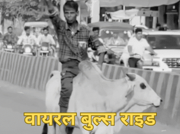 VIDEO: नशे में धुत्त शख्स सांड पर सवार हो गया, सिगरेट पीते हुए करने लगा सवारी, नहीं देखा होगा ये वीडियो