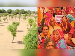 बीकानेर में खेजड़ी बचाने को लेकर आर-पार की लड़ाई शुरू, 500 से ज्यादा लोगों ने शुरू किया अनशन